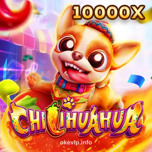 Fa Chai Chi Huahua